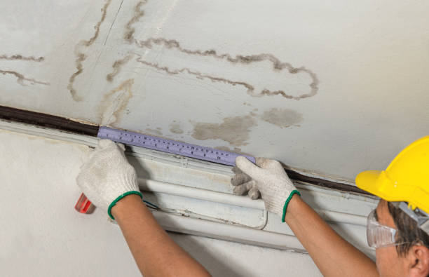 Reliable Mold Remediation contractor in East Walpole, MA by Water Damage Irwin